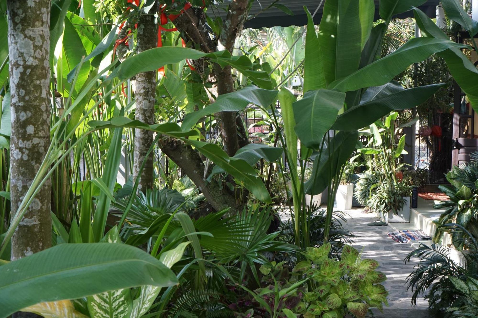 Hoi An Sunny Garden Apartment Luaran gambar