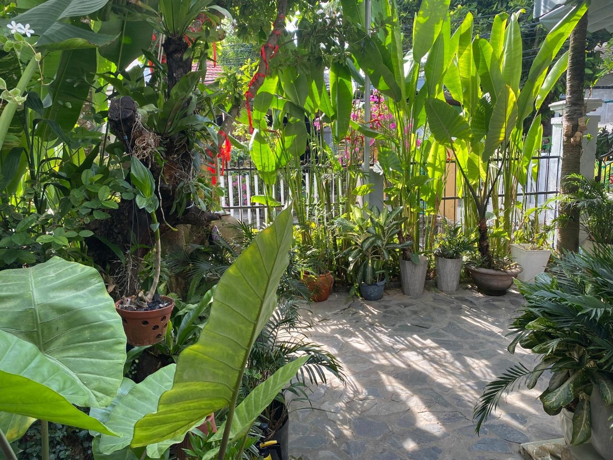 Hoi An Sunny Garden Apartment Luaran gambar