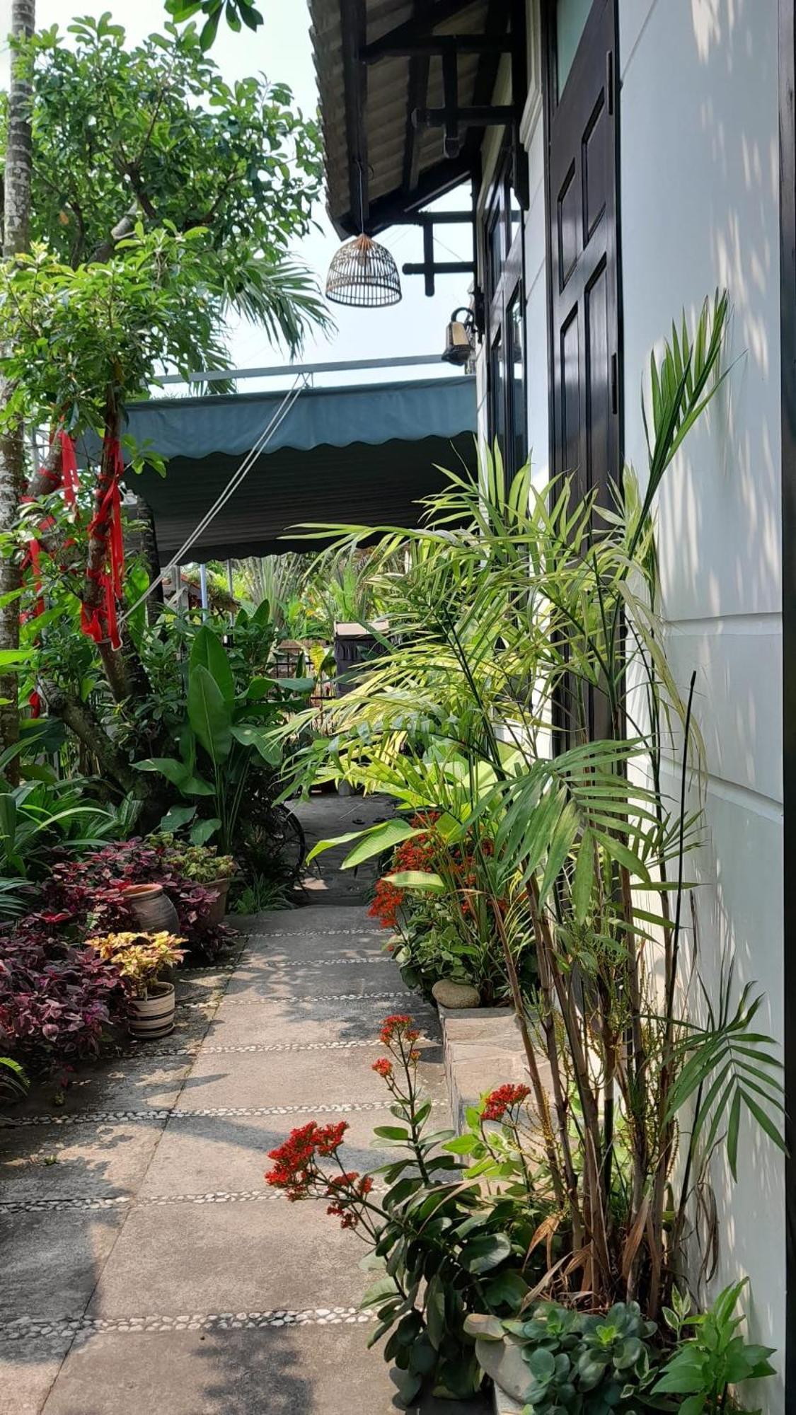 Hoi An Sunny Garden Apartment Luaran gambar